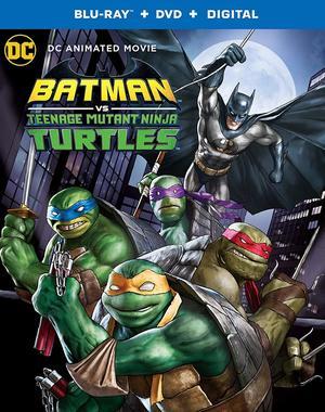 Batman vs  Teenage Mutant Ninja Turtles