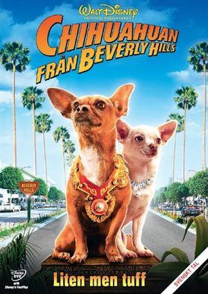Chihuahuan från Beverly Hills