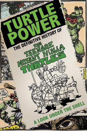 Turtle Power The Definitive History of the Teenage Mutant Ninja Turtles