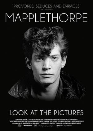 Mapplethorpe Look at the Pictures